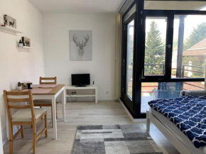 Kleines Einzimmer-Apartment 23